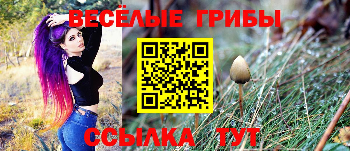 Псилоцибиновые грибы Psilocybine cubensis Электрогорск