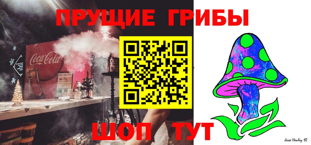 Псилоцибиновые грибы Magic Shrooms  Псилоцибиновые грибы мицелий  Электрогорск  Вход с VPN 